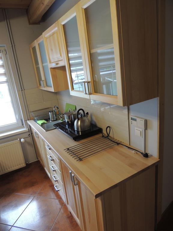 Apartament Suzyw Kicek Суха-Бескидзка Экстерьер фото